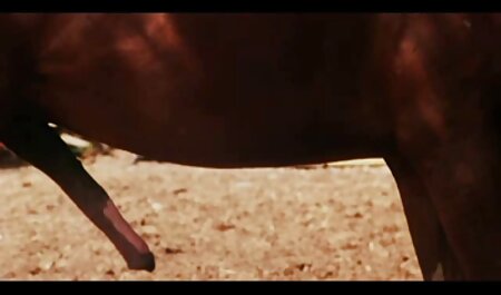 夏フィリピンFucks Pinay 綺麗 な 女 エロ 動画